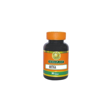 Ortiga cÃ¡psulas 250 mg (Urtica urens) FCO 70 CAPSULAS 