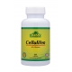 ALFA CELLULIFIN (AYUDA A PROBLEMAS DE CELULITIS Y CONTROL DE PESO) FCO*60 CAPSULAS 