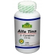 ALFA TINA 250MG (L-CARNITINA 250MG) FCO*100 CAPSULAS