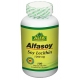 ALFASOY 1200MG SOFTGEL (LECITHINA DE SOYA SOFTGEL) FCO*100 SOFTGEL 