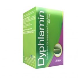 DYPHLAMIN (HARPAGOPHYTUM ) (SUPERMERCADO VIRTUAL DE LA A-Z) FCO* 60 SOFTGEL