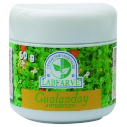 GUALANDAY CREMA 60G 