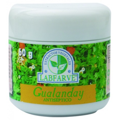 GUALANDAY CREMA 60G 