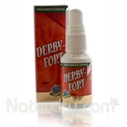 DERBY FORT SPRAY*ANTIMICOTICO TOPICO* FCO*30ML