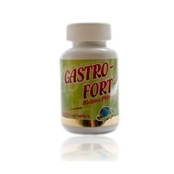 GASTROFORT 500GR*GASTRITIS*ULCERA*FCO*100CAPSU