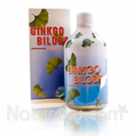 GINKO BILOBA JARABE VASO DILATADOR FRASCO 360 ML